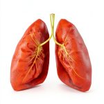 Pulmonary Medicine Kindle Book English Language 61 Pages-0